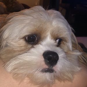 Meet your Posher, Jjen